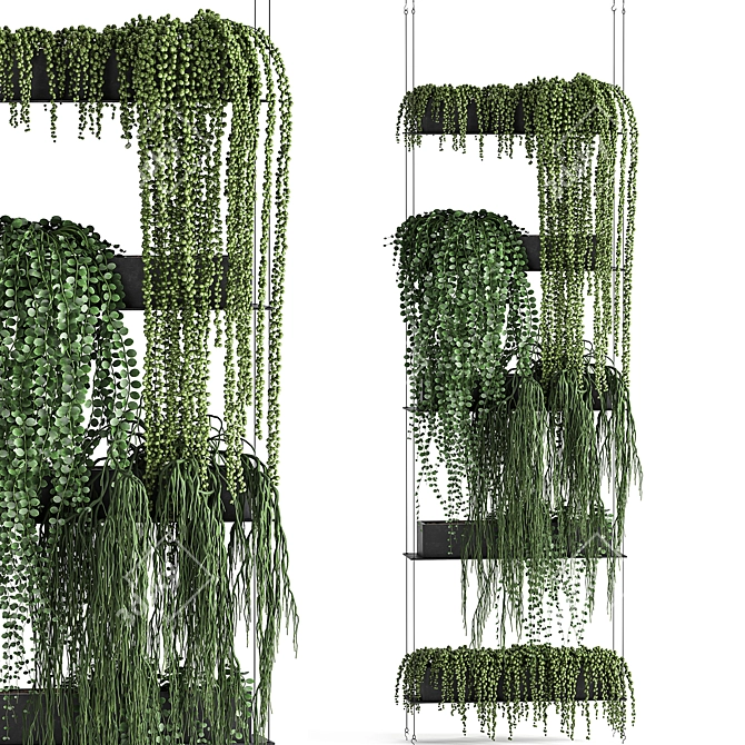 Vertical Garden Kit: Indoor Exotic Succulents & Cascading Plants 3D model image 1