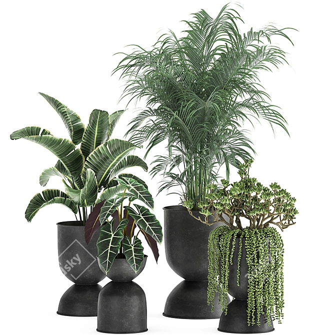 Tropical Oasis Plant Collection 3D model image 1