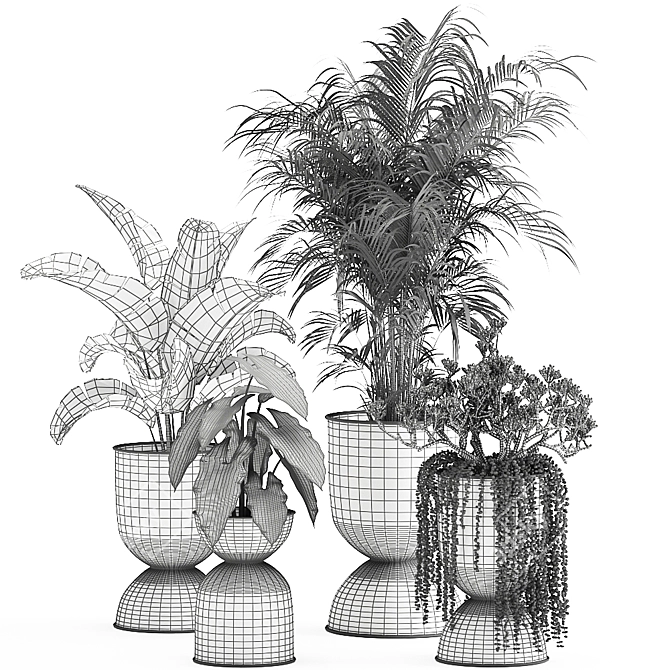 Tropical Oasis Plant Collection 3D model image 5