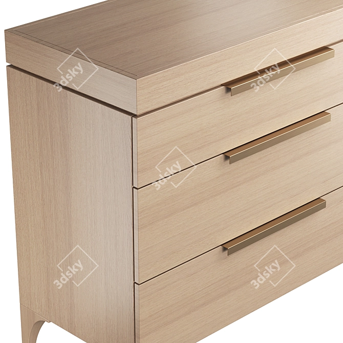 Dantone Home Bridge Chest: Sleek Storage Solution 3D model image 3