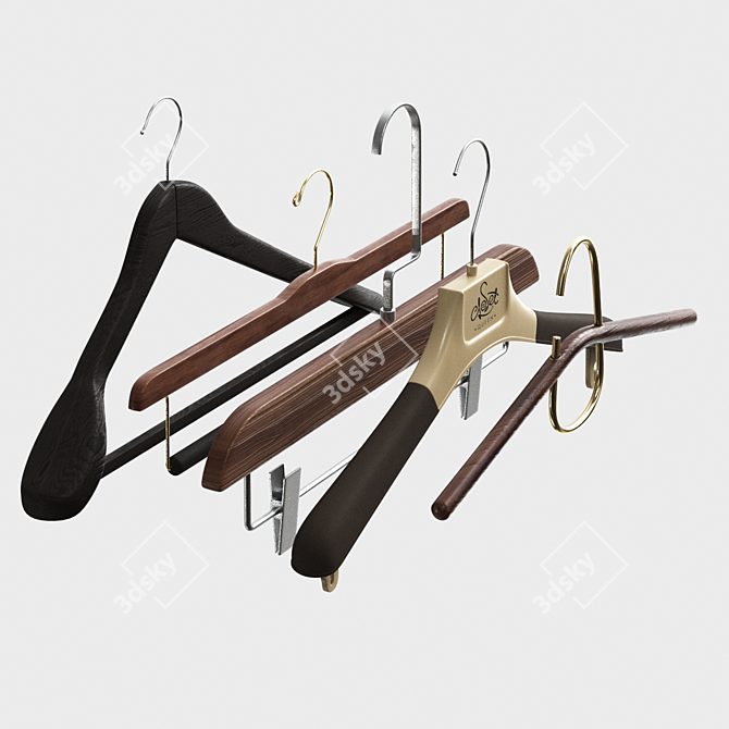 Premium Set of 5 Hangers 3D model image 4