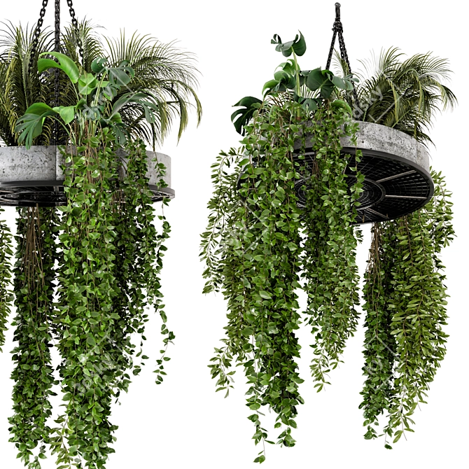 Metal Box Hanging Plants - Set of 86 3D model image 1