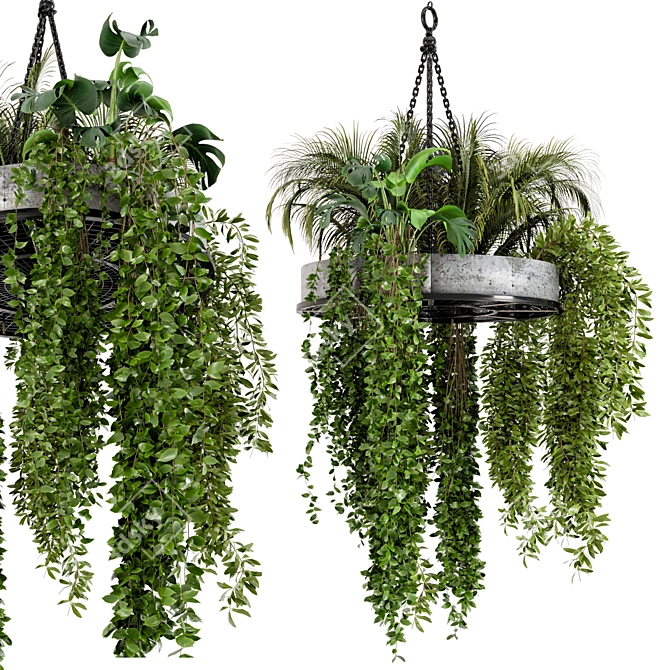 Metal Box Hanging Plants - Set of 86 3D model image 2