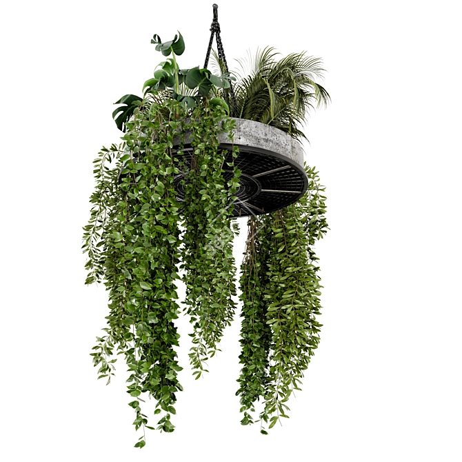 Metal Box Hanging Plants - Set of 86 3D model image 3