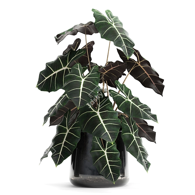 Exotic Tropical Plant Collection 3D model image 2