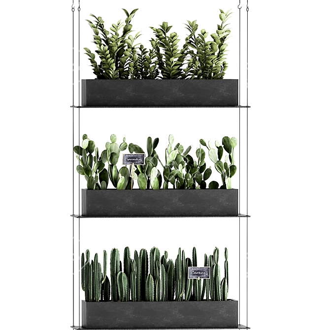 Vertical Greenery Wall: Exotic Plants, Indoor Gardening 3D model image 2