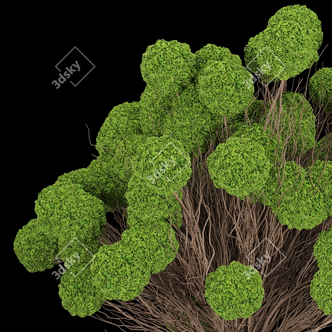  Versatile Plant Collection, Vol. 130 3D model image 3