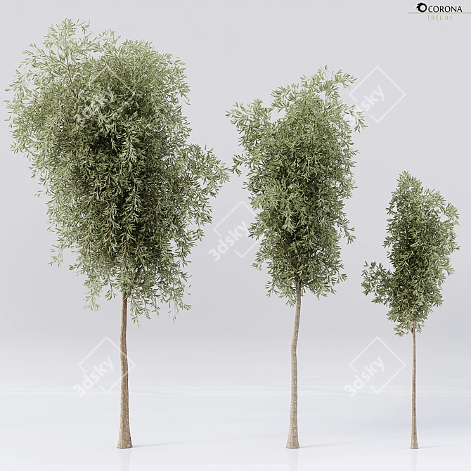 Premium Quality Detailed Tree 3D model image 1