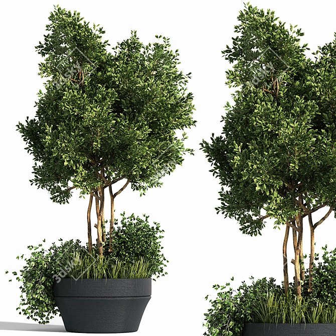 Outdoor Oasis Plant Set 3D model image 1