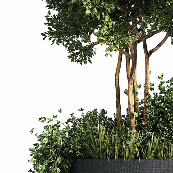 Outdoor Oasis Plant Set 3D model image 3