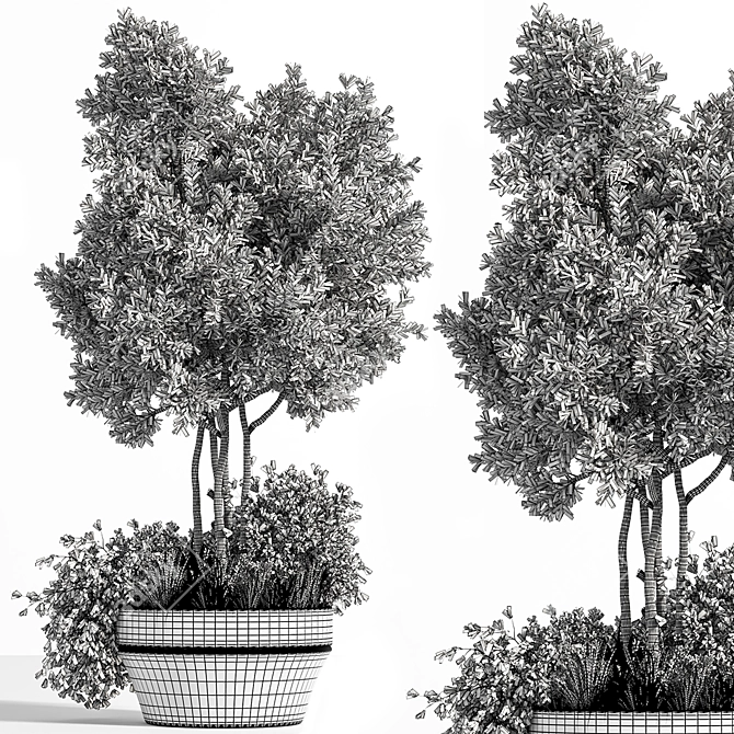 Outdoor Oasis Plant Set 3D model image 5