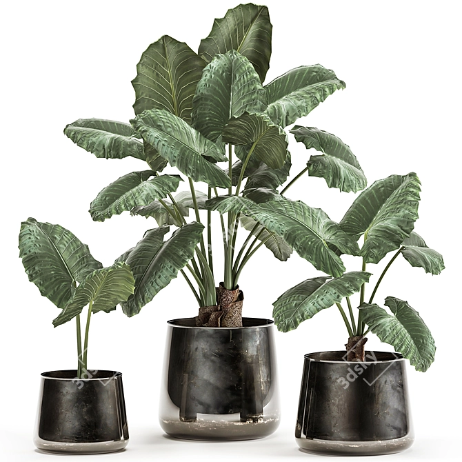 Exotic Tropical Plant Collection in Reclaimed Iron Pot 3D model image 1