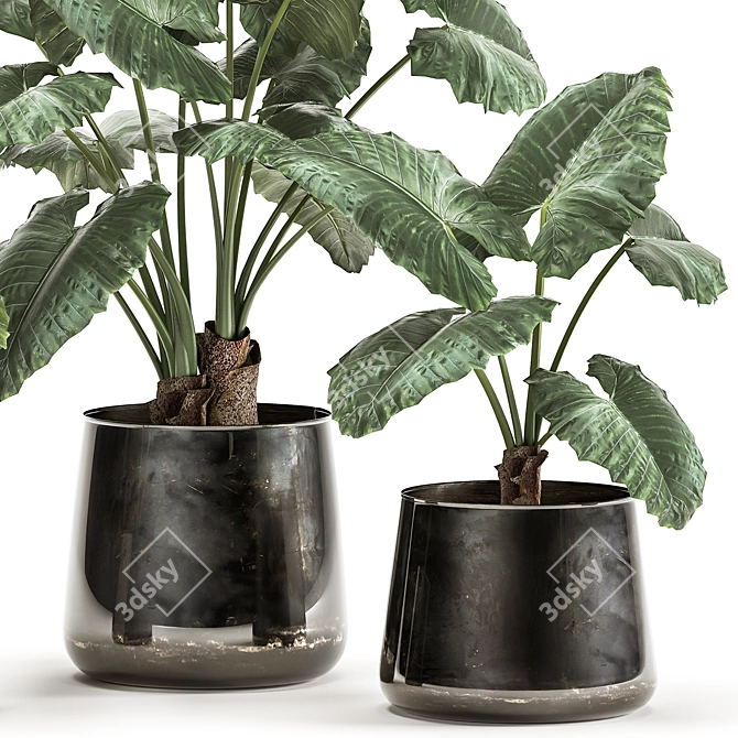 Exotic Tropical Plant Collection in Reclaimed Iron Pot 3D model image 2