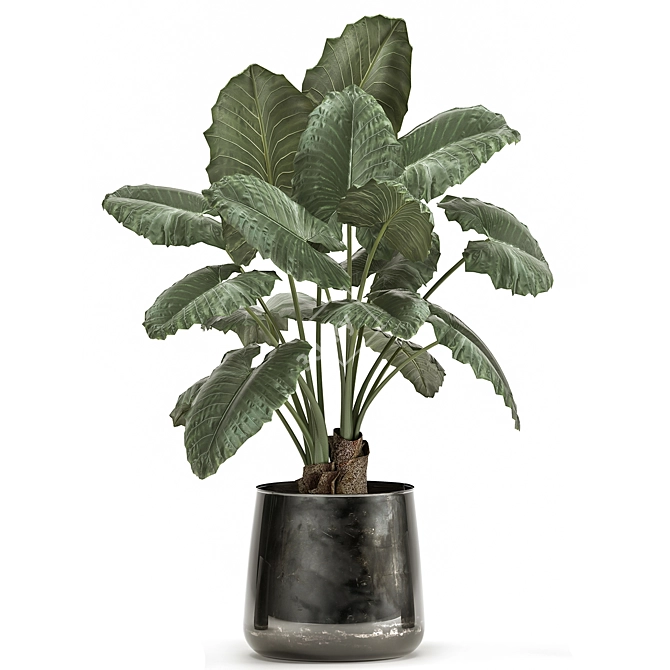 Exotic Tropical Plant Collection in Reclaimed Iron Pot 3D model image 4