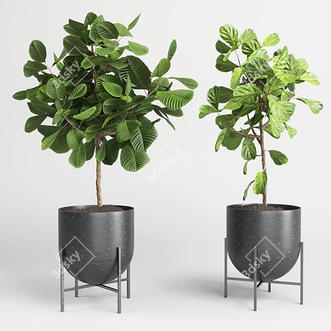 Marble Vase Collection: Indoor Plant 3D model image 3