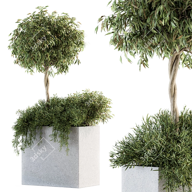 Green Oasis Outdoor Plant Set 3D model image 2