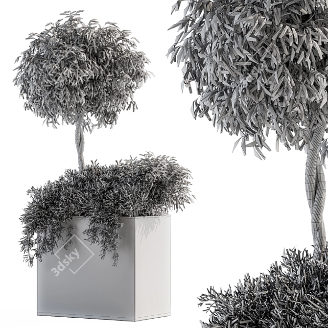 Green Oasis Outdoor Plant Set 3D model image 5