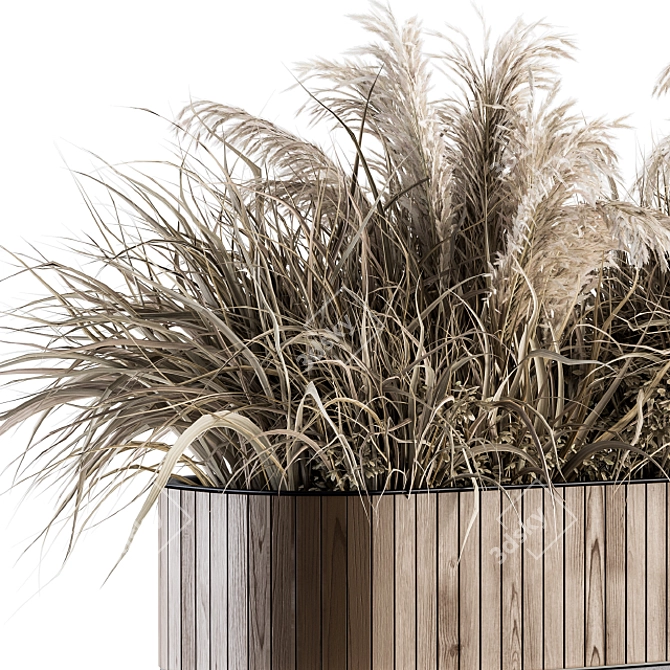Natural Beauty: Dried Plants in Wood Stand 3D model image 2