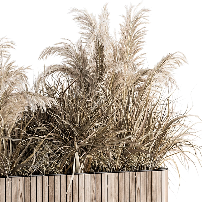 Natural Beauty: Dried Plants in Wood Stand 3D model image 3