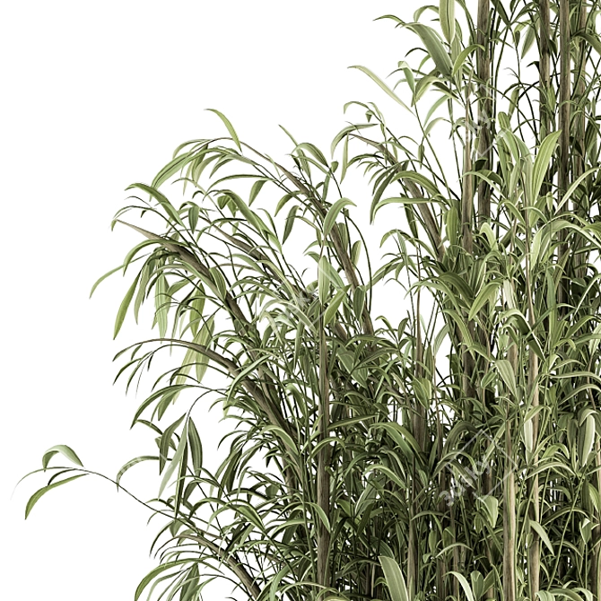 Tall Bamboo Set: Stunning Indoor Greenery! 3D model image 3