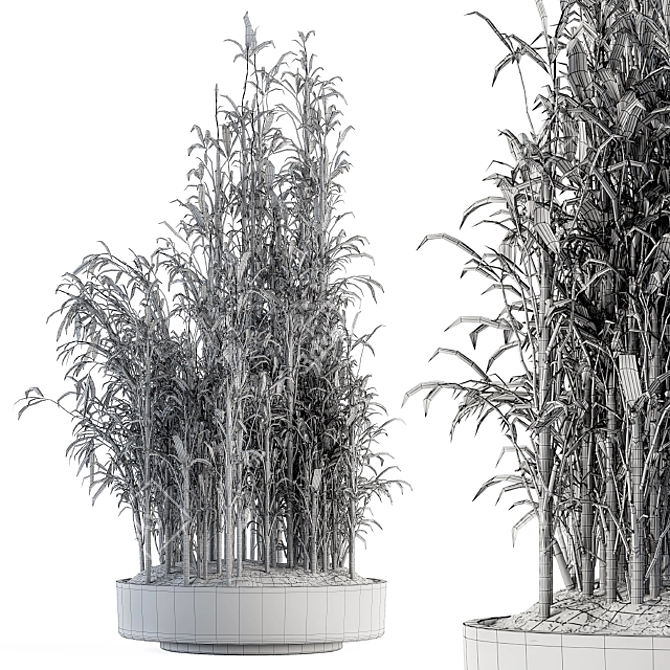 Tall Bamboo Set: Stunning Indoor Greenery! 3D model image 5