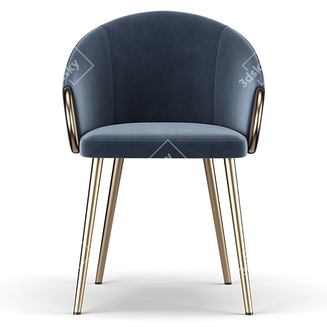 Elegant ErgoChair: Salyer 3D model image 3