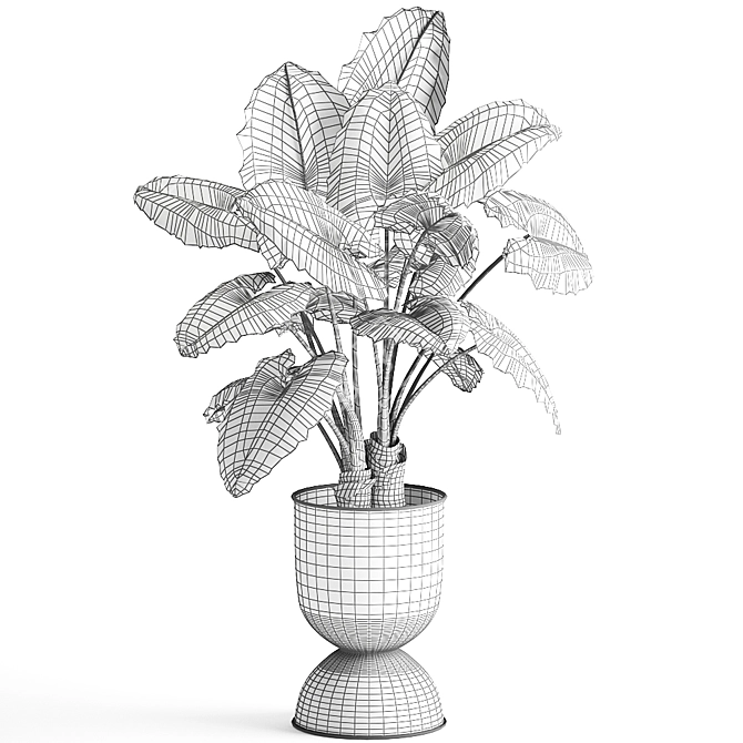 Tropical Collection: Exotic Alocasia Plants 3D model image 5