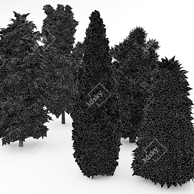 5 Evergreen Trees - Leyland Cypress, Slender Hinoki, Rocky Mountain - 4K Texture - 3D Models 3D model image 4