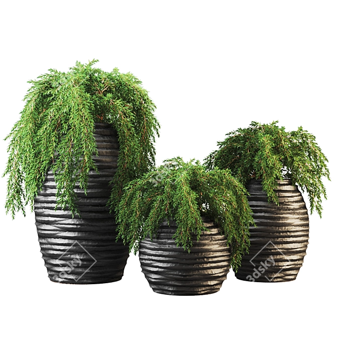 Botanic Oasis: Exquisite Plant Collection 3D model image 1