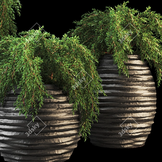Botanic Oasis: Exquisite Plant Collection 3D model image 2