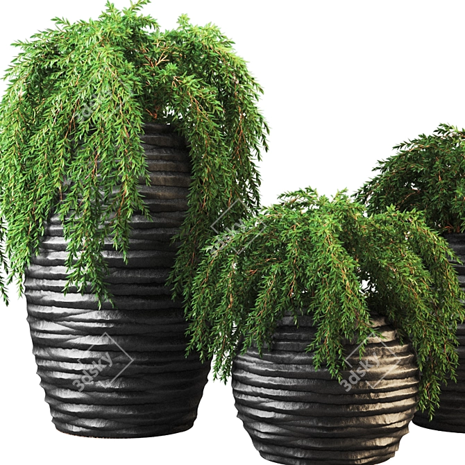 Botanic Oasis: Exquisite Plant Collection 3D model image 3