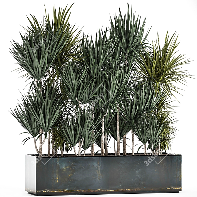 Tropical Plant Collection 3D model image 1