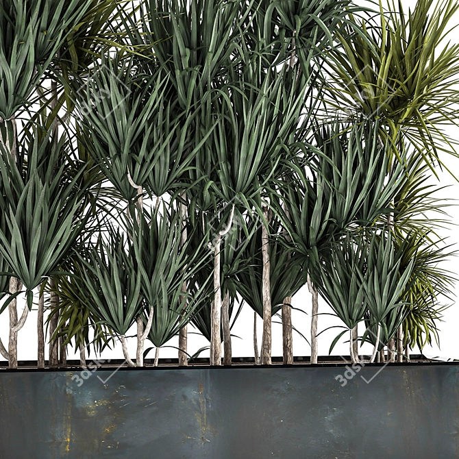 Tropical Plant Collection 3D model image 3