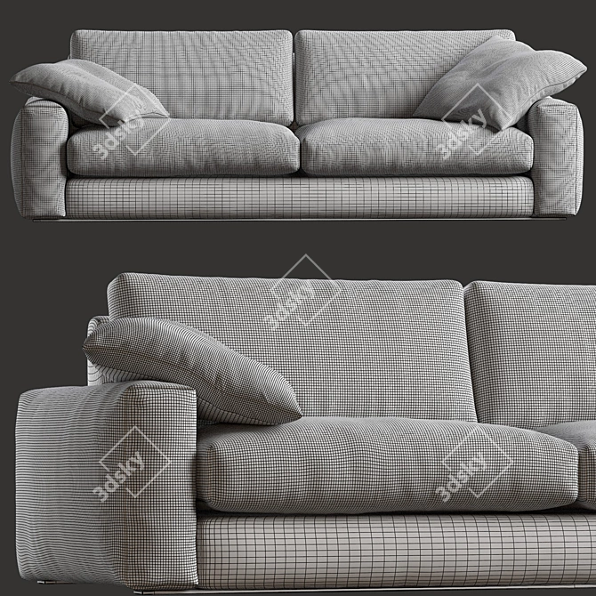 Modern Design Sofa: 810 FLY By Vibieffe 3D model image 5