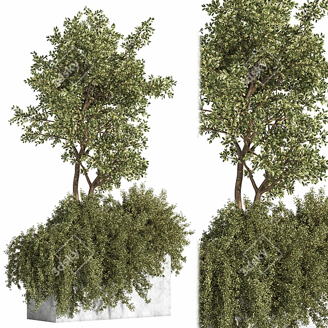 Outdoor Bliss: Majestic Tree 06 3D model image 2
