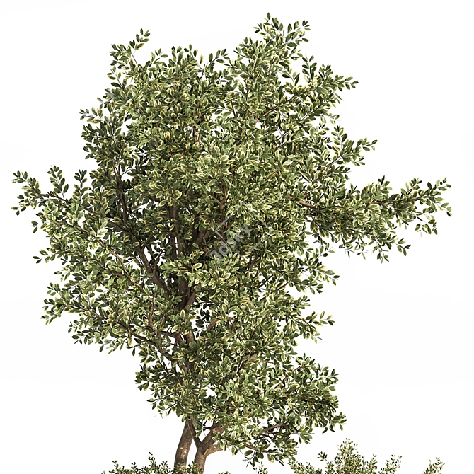 Outdoor Bliss: Majestic Tree 06 3D model image 5