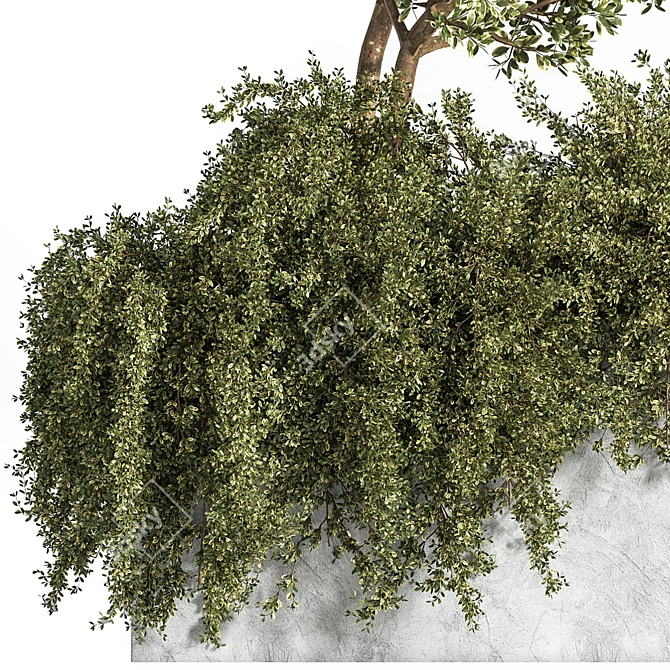 Outdoor Bliss: Majestic Tree 06 3D model image 6