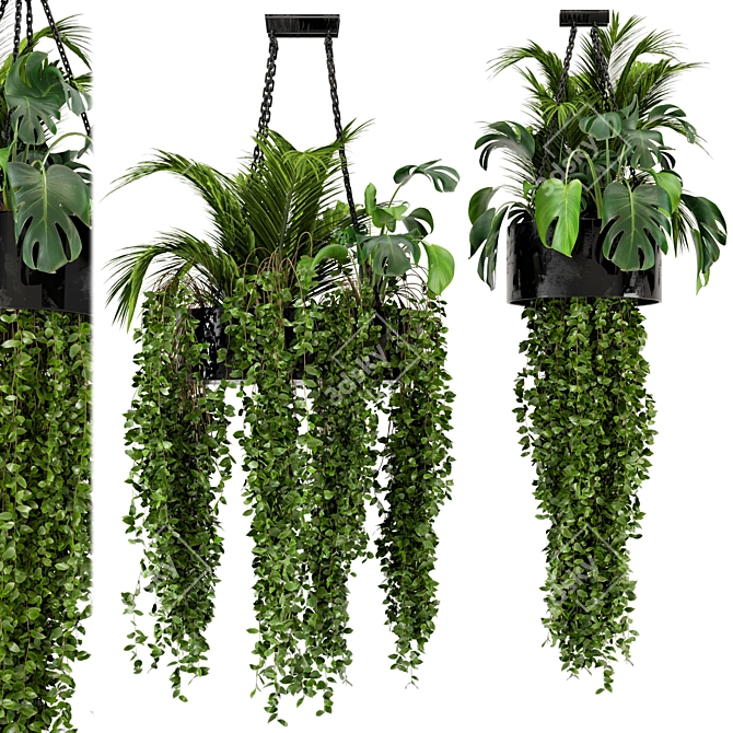 Metal Box Hanging Plants - Set 89 3D model image 2