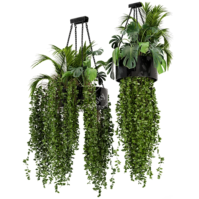 Metal Box Hanging Plants - Set 89 3D model image 3