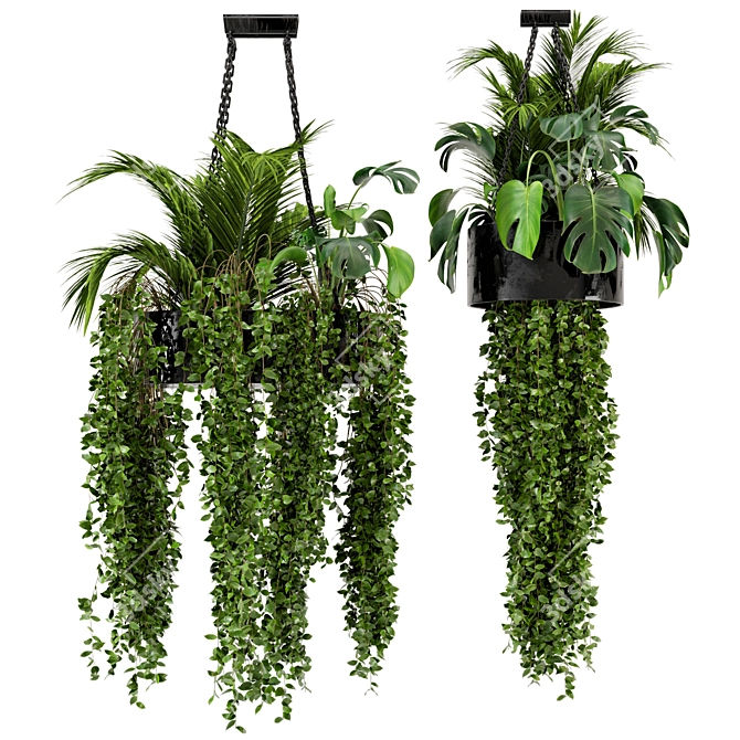 Metal Box Hanging Plants - Set 89 3D model image 4