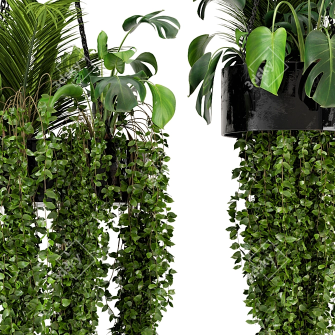 Metal Box Hanging Plants - Set 89 3D model image 6