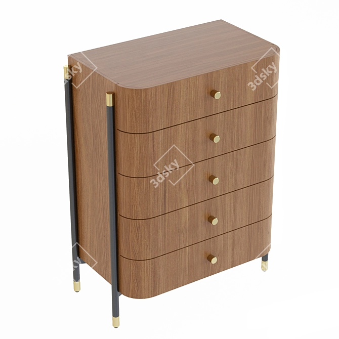 Elegant Laskasas ROSIE Chest 3D model image 2