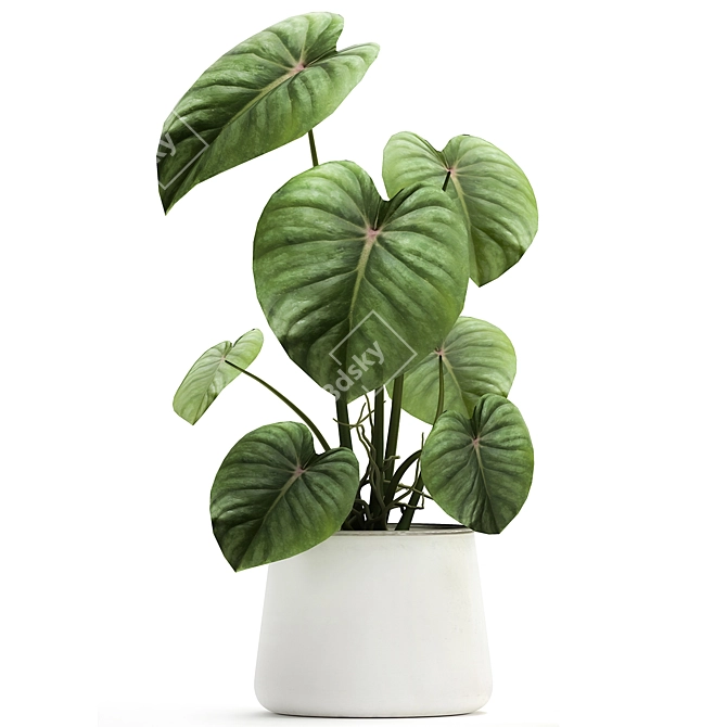 Exotic Indoor & Outdoor Plant Collection 3D model image 2