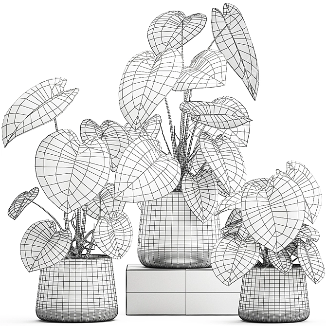 Exotic Indoor & Outdoor Plant Collection 3D model image 7