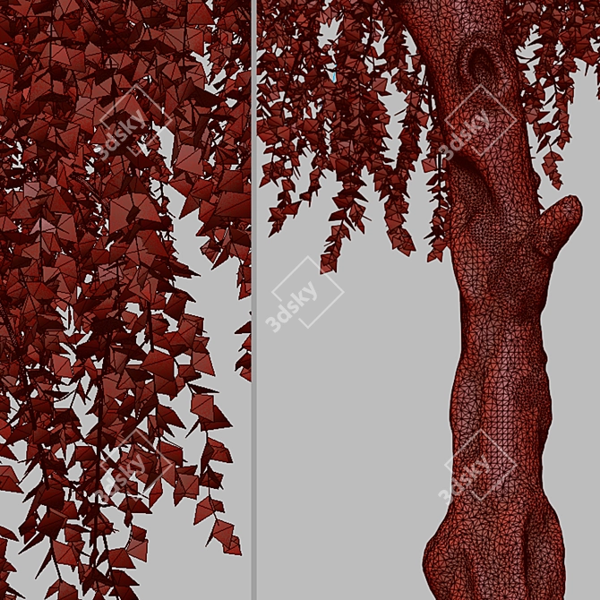 Chinese Elm Trees: Stunning Pair for your Garden! 3D model image 1