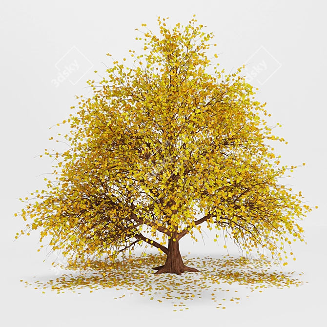 Autumnal Tree Pack: 2 Unique Trees 3D model image 2