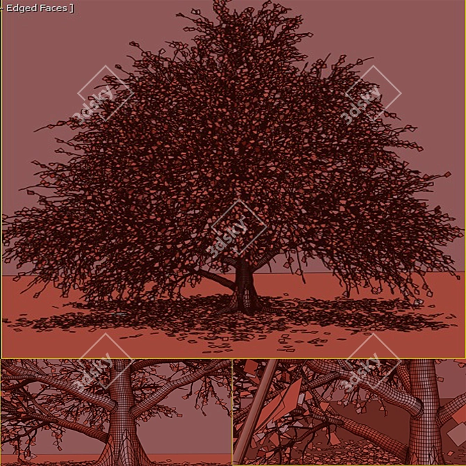 Autumnal Tree Pack: 2 Unique Trees 3D model image 6