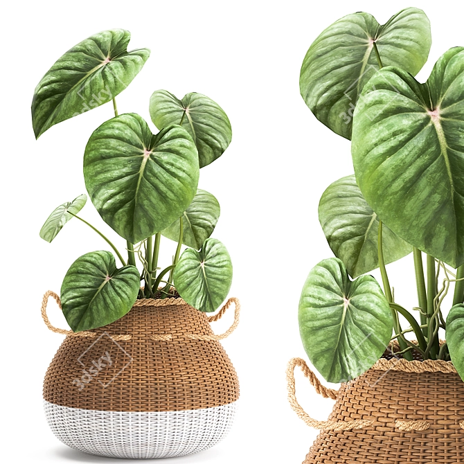 Exotic Plant Collection in White Baskets 3D model image 1