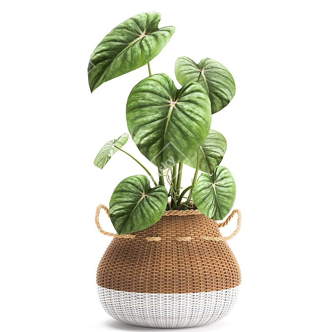 Exotic Plant Collection in White Baskets 3D model image 2