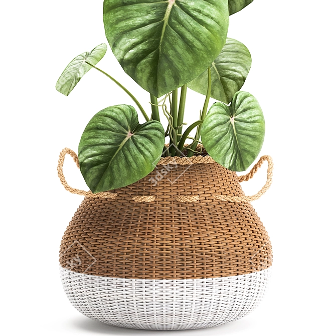 Exotic Plant Collection in White Baskets 3D model image 3